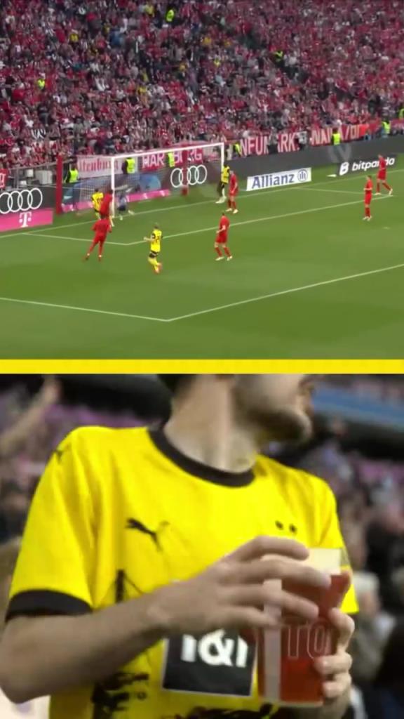 勇者無(wú)懼！這是真多特球迷！在拜仁球迷區(qū)一個(gè)人肆意慶祝！